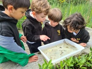 Kids examining insects and plants during outdoor learning at Inchmarlo estate.