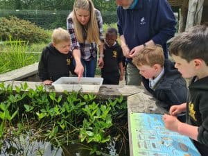 Children exploring pond life at Inchmarlo, outdoor learning with staff guiding young students.