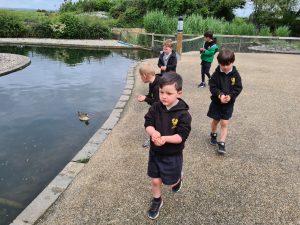 Children feeding ducks at Inchmarlo estate.