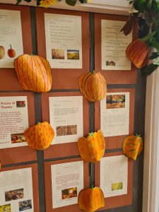 Colorful paper pumpkins display at Inchmarlo estate in Aberdeenshire.
