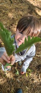 Young boy exploring nature with a large leaf outdoors.