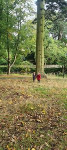 Scenic Inchmarlo estate with lush greenery and tall trees, ideal for outdoor adventures and family visits.