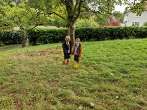 Children playing under a large tree in Inchmarlo's scenic outdoor area.