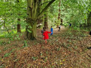 Children exploring lush woodland at Inchmarlo for outdoor adventure.
