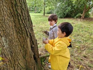 Two children exploring nature at Inchmarlo estate in Scotland.