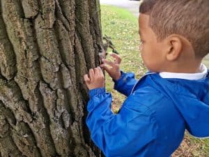 Child exploring outdoors at Inchmarlo Estate.