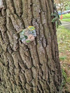 Close-up of tree with painted owl sculpture on bark, showcasing natural environment and artistic embellishment.