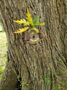 Charming estate featuring scenic grounds and elegant accommodations in Aberdeenshire.