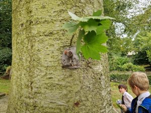 A large tree with children exploring nature and a squirrel on the bark, highlighting outdoor educational activities at Inchmarlo.