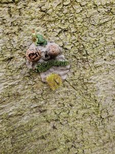 Close-up of tree bark with a tiny caterpillar and moss.