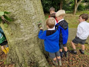 Children exploring at Inchmarlo estate, Scotland, enjoying outdoor activities in natural surroundings.