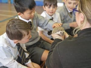 Children exploring nature at Inchmarlo school.