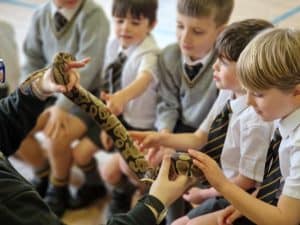 Children engaging with a python snake during educational activity at Inchmarlo school.