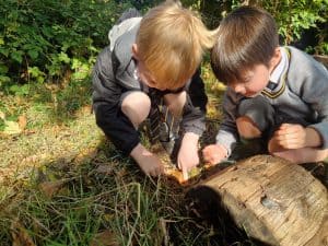 Two children exploring outdoors at Inchmarlo in Scotland.