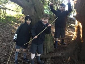 Children exploring nature at Inchmarlo forest with ropes and trees.