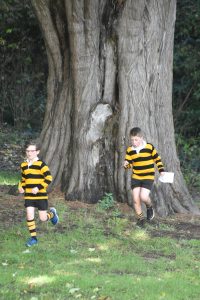 Children playing near large tree at Inchmarlo Estate, Scotland.