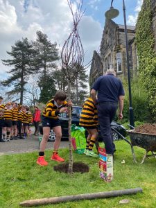 Children planting a tree at Inchmarlo estate in a school activity.