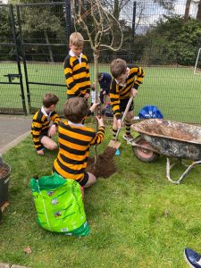 Children planting trees at Inchmarlo estate, outdoor activity, environmental education, school trip, green space.