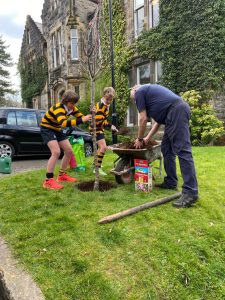 Children and adult planting trees at Inchmarlo estate on a sunny day.