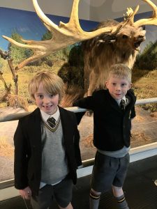 Two young boys visit the Inchmarlo wildlife display featuring a majestic elk head.