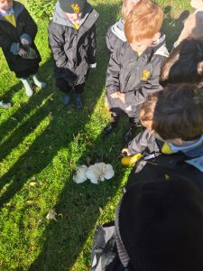 Children observing a white rabbit in lush green outdoor setting at Inchmarlo.