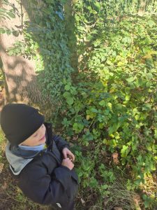 Child exploring nature at Inchmarlo Gardens in Scotland, surrounded by lush greenery.