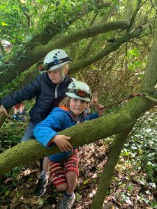 Children climbing trees at Inchmarlo Estate in outdoor adventure setting.