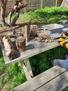Children exploring outdoor wooden sculptures and natural surroundings at Inchmarlo.