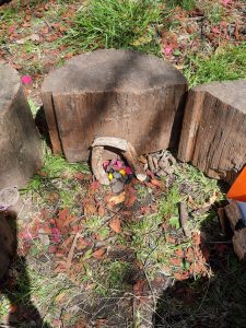 A close-up of a memorial plaque surrounded by colorful flowers and natural woodland, highlighting Inchmarlo's serene outdoor setting.