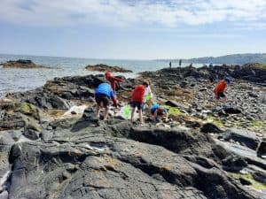 People exploring rocky beaches at Inchmarlo, family fun by the sea in a scenic coastal setting.