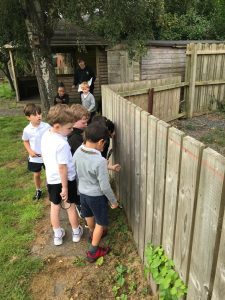 Children learning outdoors at Inchmarlo School in a garden setting.