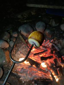 Campfire roasting marshmallow over glowing embers at Inchmarlo. A cozy outdoor experience.
