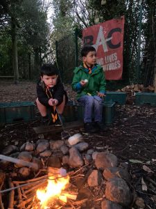 Two children sitting by a campfire outdoors in a wooded setting.