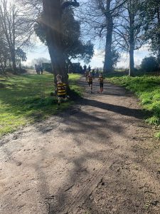 Scenic outdoor park with walking trails and lush greenery at Inchmarlo.