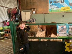 Child enjoying farm animals at Inchmarlo, outdoor farm experience, animal encounters for kids.