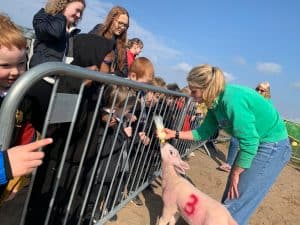 Children meeting a pig at Inchmarlo farm in Scotland, outdoor animal experience.