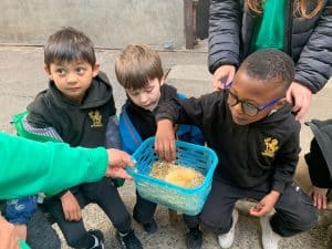 Children learning in Inchmarlo garden activities.