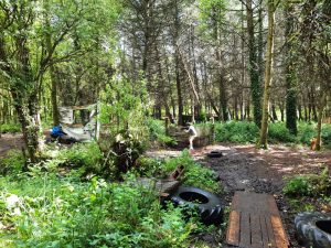 Serene woodland garden at Inchmarlo with lush greenery and natural beauty.