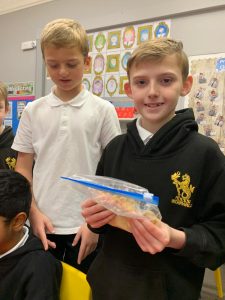 Students enjoying classroom activities at Inchmarlo School in a vibrant educational setting.